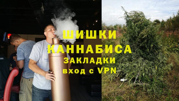 стаф Кинешма