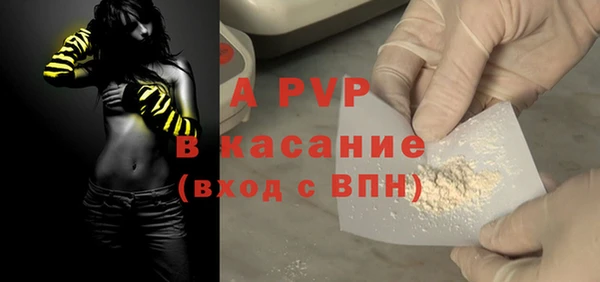 стаф Кинешма