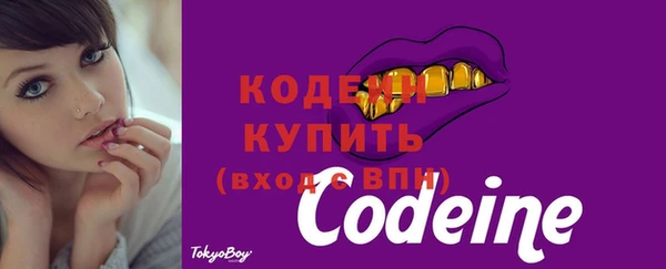 стаф Кинешма